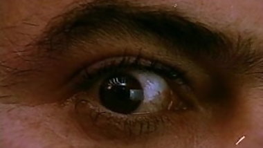 Strange Hostel Of Naked Pleasures 1976