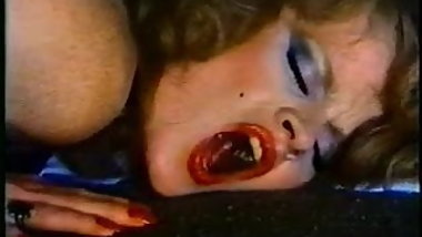 Swedish Erotica VHS vol. 33 (1981)