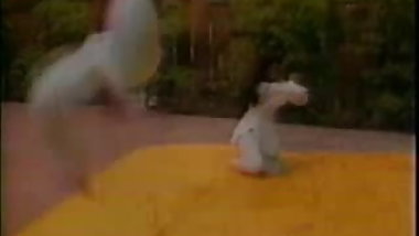 Karate Girls (1986)