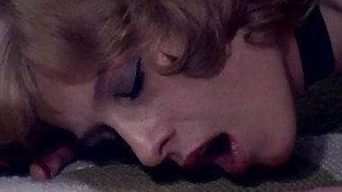 Playgirl Film - Miss Butterfly - Vintage Loop