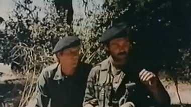 Foxholes - 1982