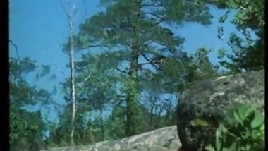 Swinging Rock