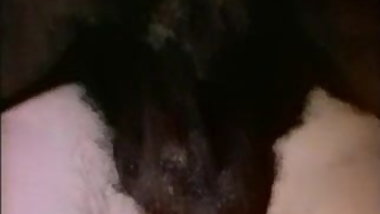 Vintage Anal Housewarming (Camaster)