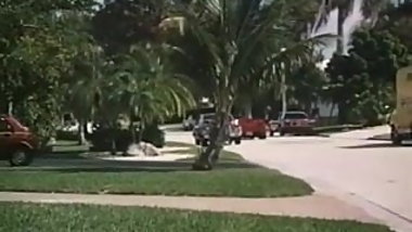 Miami Vice Porn Edition (1988)