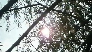 Kranken NICHT schwestern Report (1972) Walter Boos