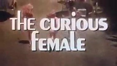 the curious female  by loyalsock