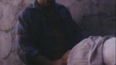Krista Lane, Sheena Horne, Jamie Gillis in classic porn