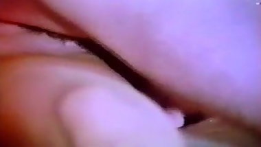 Phollastia