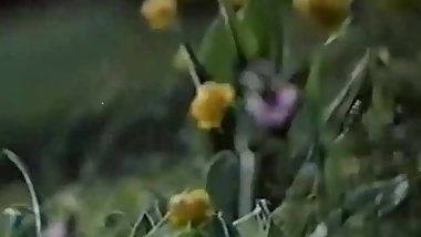 Gator 596