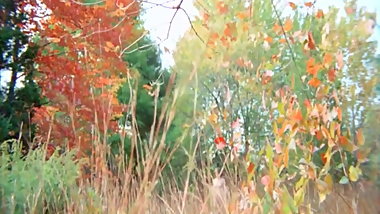 HD VIDEO 67