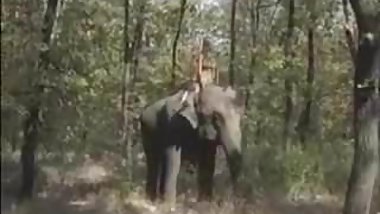 Queen of the Elephants