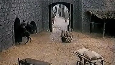 Erotic Adventures of Zorro (1996)