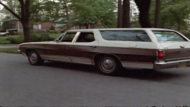 Intrusion, The (1975) 1of3