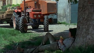 Vicieuse Amandine (1976)