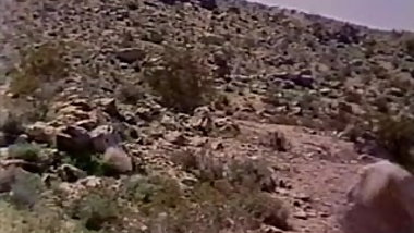 Kandi Barbour Compilation