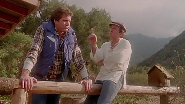 Corporate asset 1985