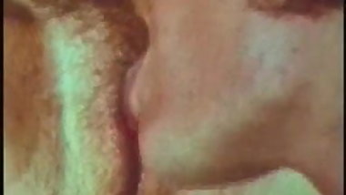 Vintage Tawny Pearl-Anal