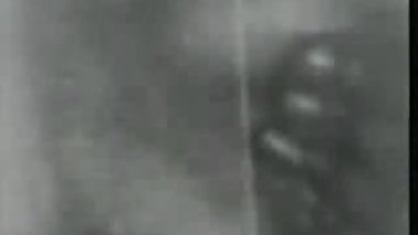 Vintage Dark Meat