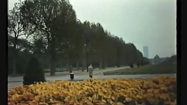 French Fries )dWh(